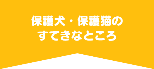 保護犬・保護猫のすてきなところ