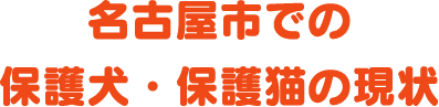 名古屋市での保護犬・保護猫の現状