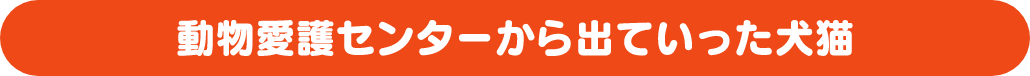 動物愛護センターから出ていった犬猫
